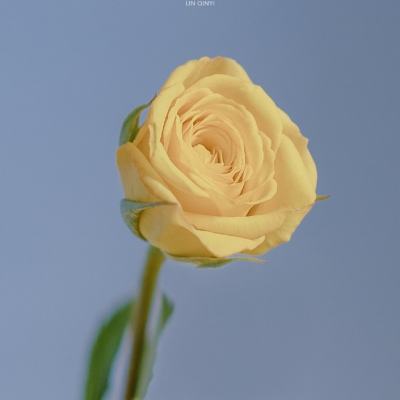 44755游戏盒子官方版下载