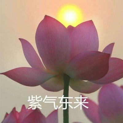 少年不哭ol手游(暂未上线)v1.1 安卓版